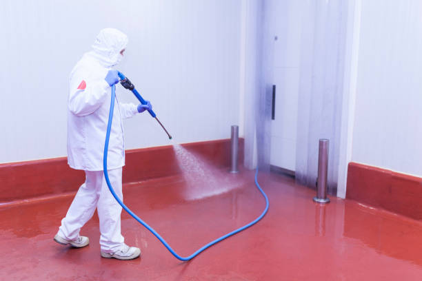 Best Rust Removal  in Broad Brook, CT